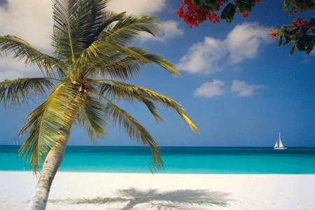 Jamaica Travel Advice To Ensure A Truly Memorable Vacation