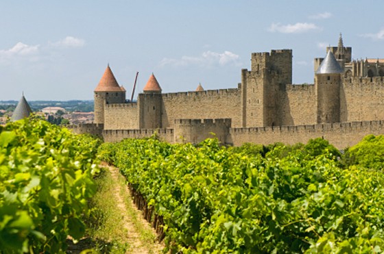 Medieval town of Carcassonne and vineyards french vineyards