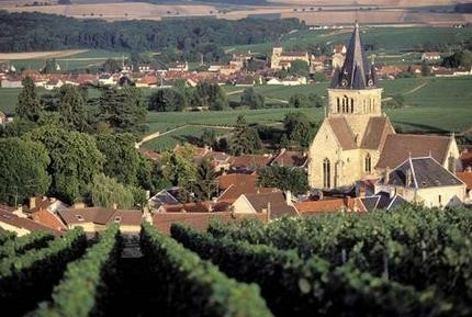 French Wine Tour