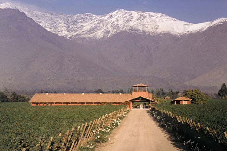 chile wine1 Chile mountain ranges