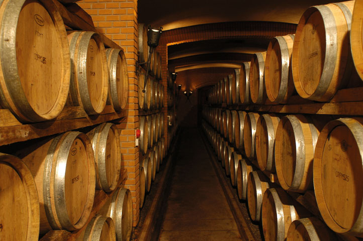 chile wine2 Wine barrels