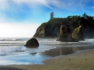 Ruby_beach Beaches