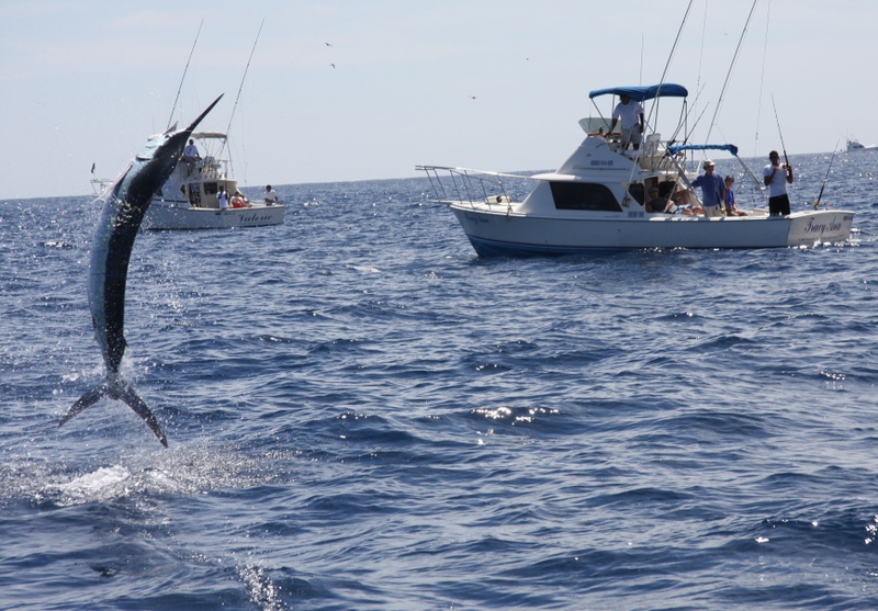 Cabo_Fishing_1