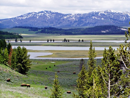 yellowstonevalley_hiking