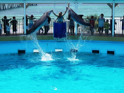 Gulfarium