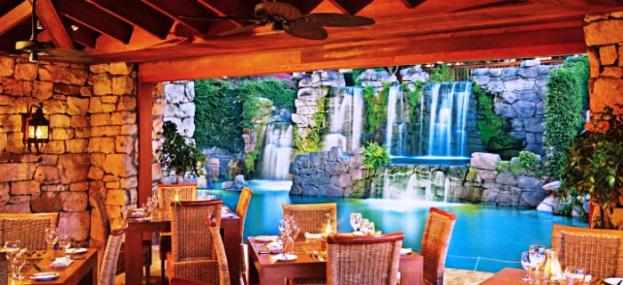 hyatt aruba dining