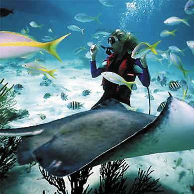 scuba-diving Diving Boracay
