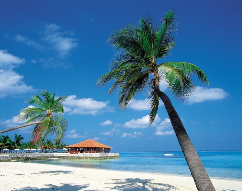 Bonaire Beaches