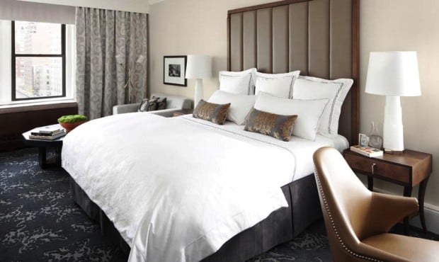 The Surrey Guest Rooms