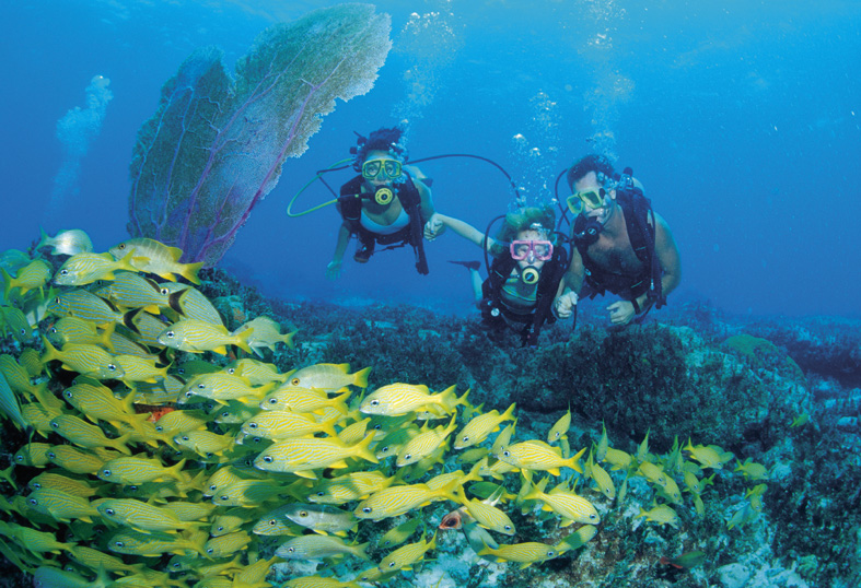 bahams suba 1 Bahamas Diving