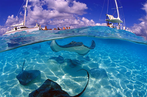 Grand Cayman diving