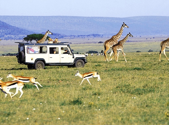 Maasai Mara Maasai Mara