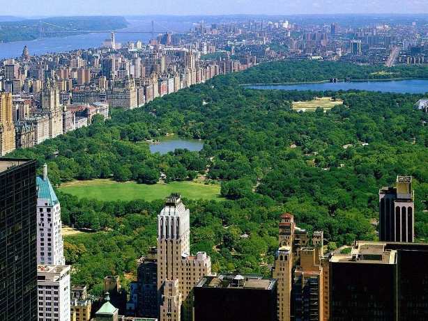 NYC Central Park