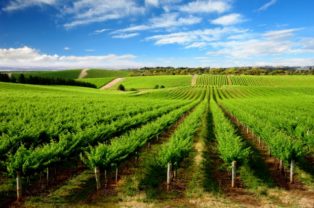 Barossa Valley Barossa Valley
