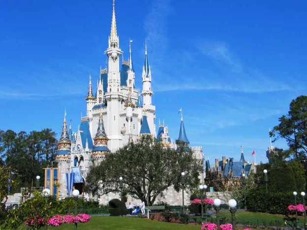 Walt Disney World Castle Walt Disney World Castle
