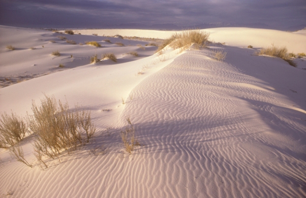White Sands New Mexico White Sands New Mexico