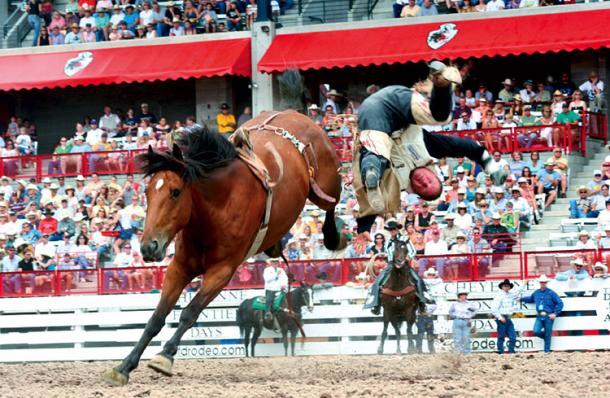 cheyenne wyoming Rodeo Cheyenne Wyoming
