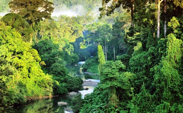 Borneo