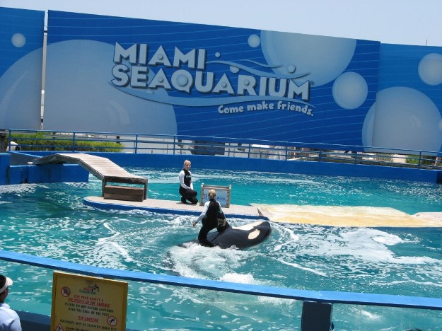 Miami Seaquarium weekend miami florida