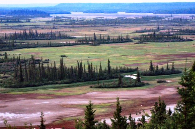 Wood Buffalo National Park Canada