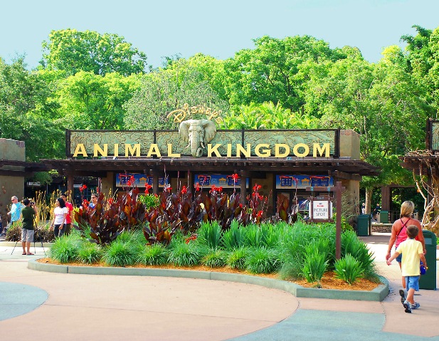 Disney Animal Kingdom