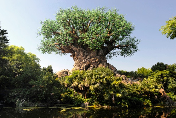Disney Animal Kingdom Tree of life