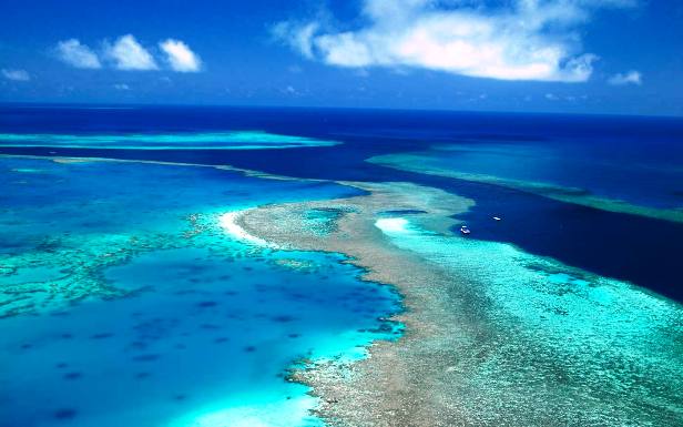 Great Barrier Reef Australia