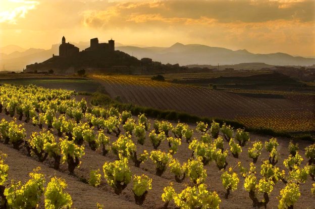 La Rioja Spain Vineyards