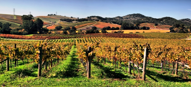 Napa Valley California