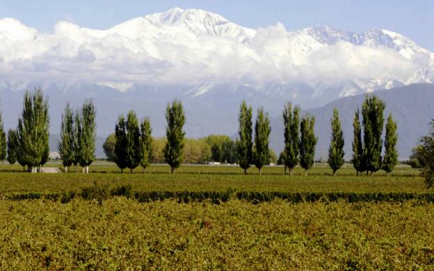 Cavas Wine Lodge Mendoza mountain view