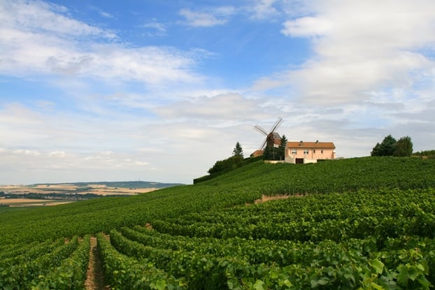 France Wine Tours eTravelTrips Blog France Wine Tours eTravelTrips Blog