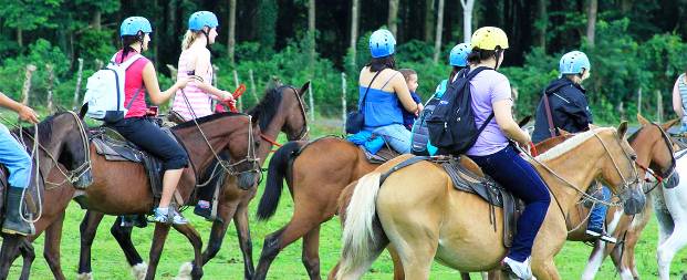 The Nayara Hotel Spa and Garden horseback riding