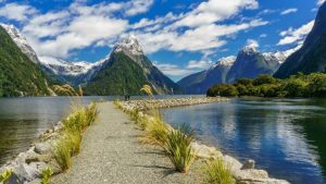New zealand natural beauty