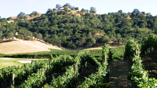 Hestan Vineyards