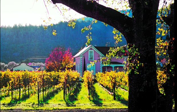Yountiville california