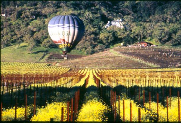 Yountville ballon rides