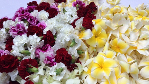 Spectacular flowers for lei-making