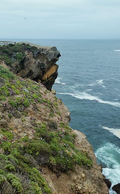 Craggy coast near Carmel