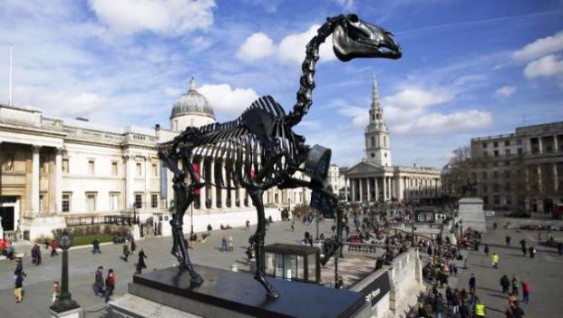 Trafalgar Square Horse skeleton