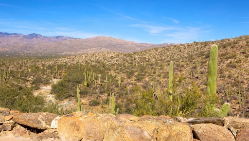 5 bucket list trips to a healthier you