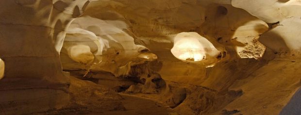 Austin Texas longhorn caves