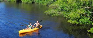 everglades