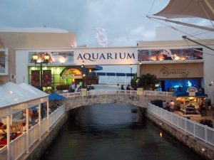 Cancun Interactive aquarium