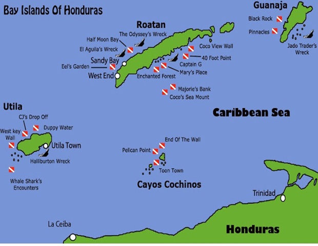 best hotels in Roatán Honduras